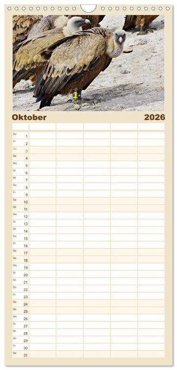 Produktbild: Familienplaner 2026 - Geier - die Gesundheitspolizei! mit 5 Spalten (Wandkalender, 21 x 45 cm) CALVENDO
