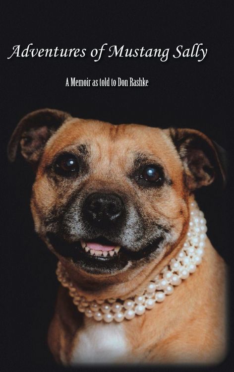 Produktbild: Adventures of Mustang Sally