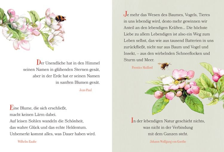 Produktbild: Der Weg zum Gl&uuml;ck f&uuml;hrt durch den Garten