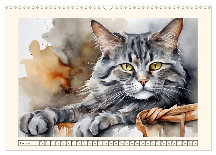 Produktbild: Samtpfoten im Portrait (Wandkalender 2026 DIN A3 quer), CALVENDO Monatskalender
