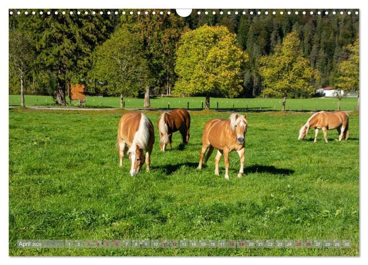 Produktbild: Achensee - im Herzen der Tiroler Alpen (Wandkalender 2026 DIN A3 quer), CALVENDO Monatskalender