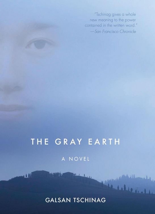 Produktbild: The Gray Earth