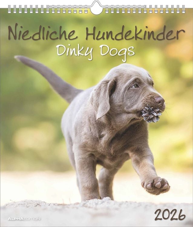 Bild vom Artikel Niedliche Hundekinder 2026 - Wand-Kalender - Tier-Kalender - 30x34 vom Autor Alpha Edition