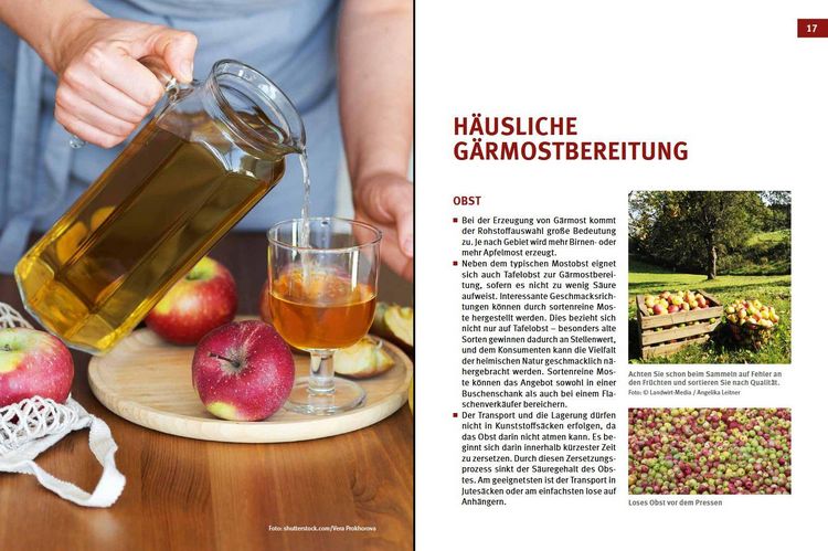Produktbild: Cider, Most & Apfelwein