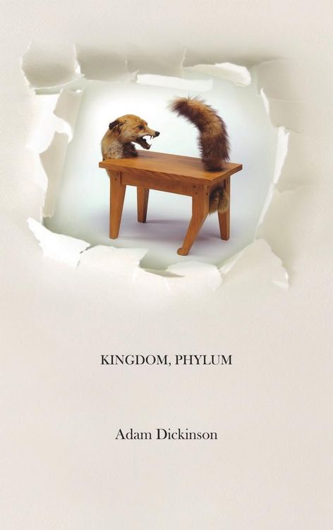 Produktbild: Kingdom, Phylum