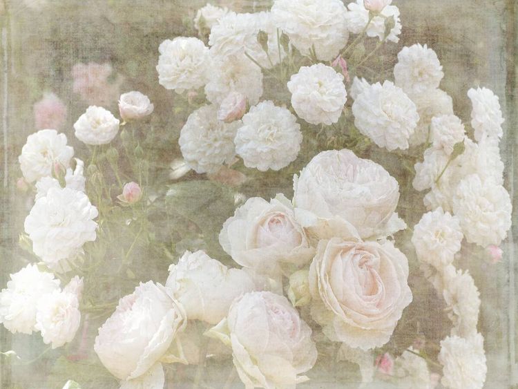 Produktbild: CALVENDO Puzzle Romantische Rosen - Shabby Chic Style | 1000 Teile Lege-Gr&ouml;&szlig;e 64x48cm Foto-Puzzle f&uuml;r gl&uuml;ckliche Stunden