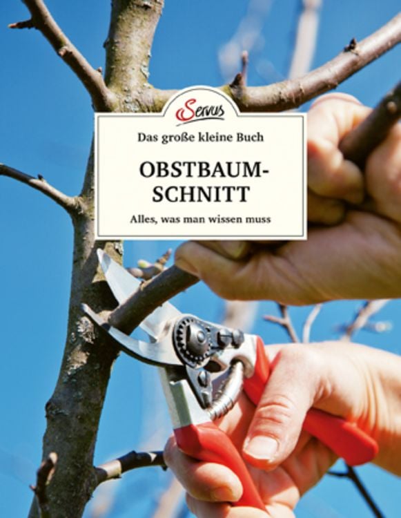 Bild vom Artikel Das große kleine Buch: Obstbaumschnitt vom Autor Erwin Palnstorfer