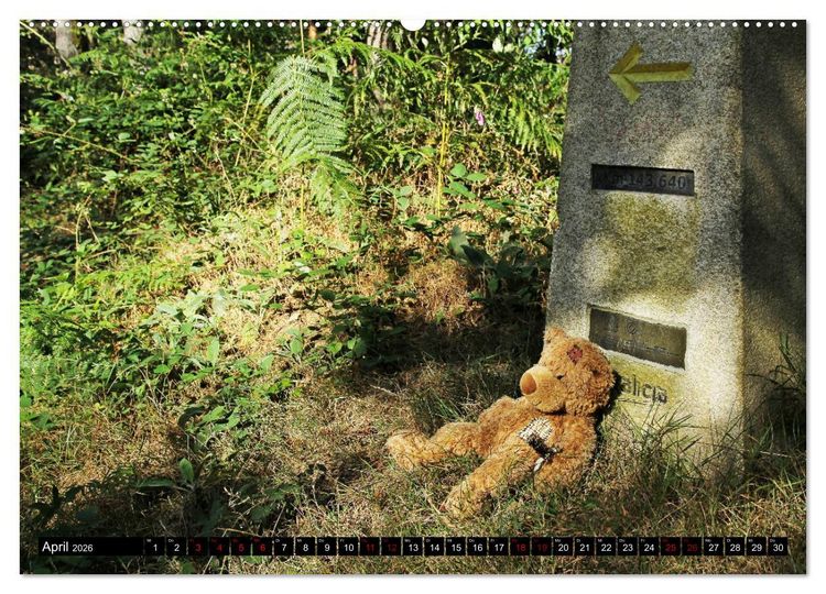 Produktbild: Auf dem Camino Primitivo (hochwertiger Premium Wandkalender 2026 DIN A2 quer), Kunstdruck in Hochglanz