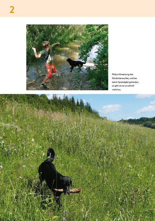 Produktbild: Die sch&ouml;nsten Wanderungen mit Hunden im Gro&szlig;raum M&uuml;nchen
