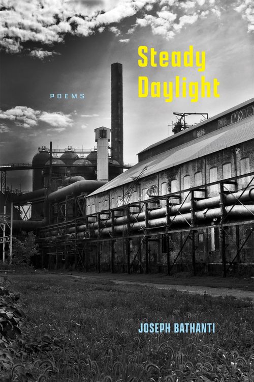 Produktbild: Steady Daylight