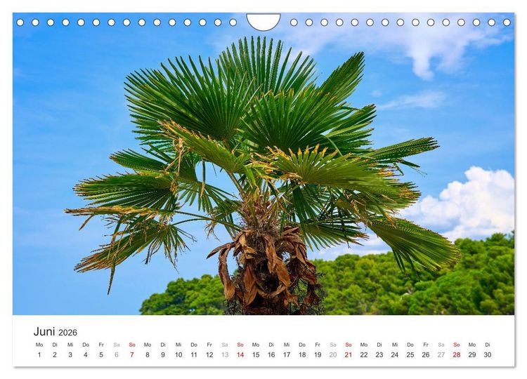 Produktbild: Porec Kalender - Die kroatische Stadt an der Adria (Wandkalender 2026 DIN A4 quer), CALVENDO Monatskalender