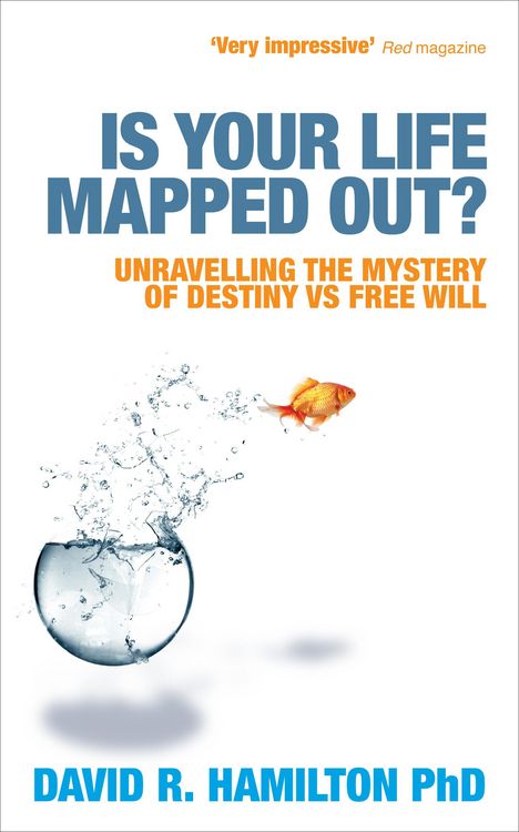 Produktbild: Is Your Life Mapped Out?