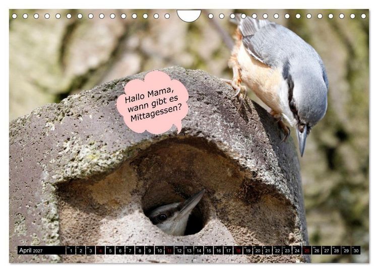 Produktbild: Wenn Tiere sprechen k&ouml;nnten! Der lustige Spr&uuml;che Kalender (Wandkalender 2027 DIN A4 quer), CALVENDO Monatskalender