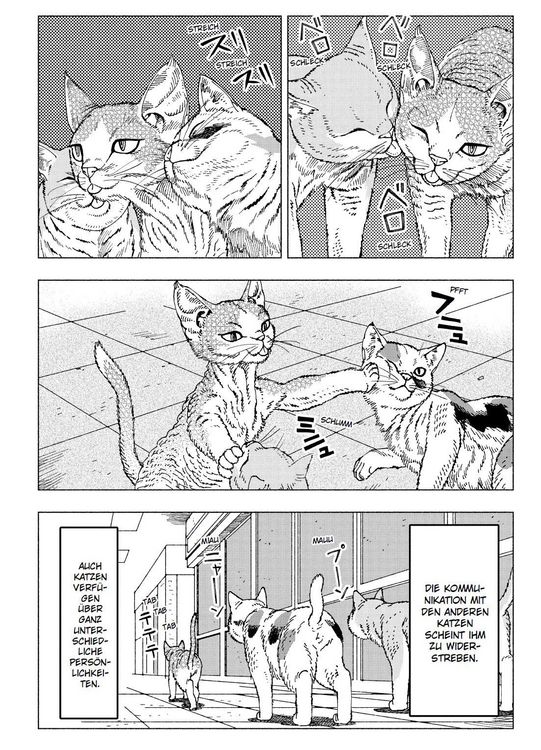 Produktbild: Night of the Living Cat 04 - Die Katze aus einer anderen Welt - D-Rex
