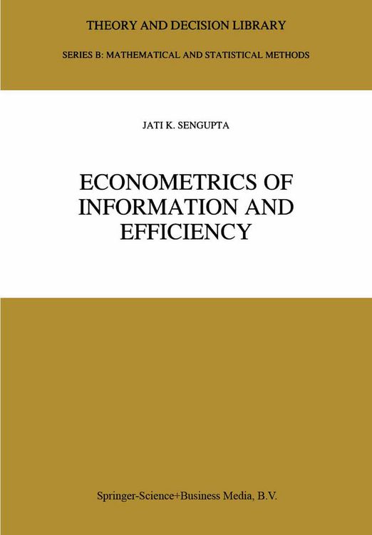 Produktbild: Econometrics of Information and Efficiency