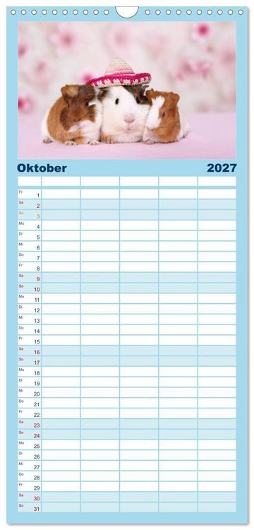 Produktbild: Familienplaner 2027 - Niedliche Meerschweinchen mit 5 Spalten (Wandkalender, 21 x 45 cm) CALVENDO