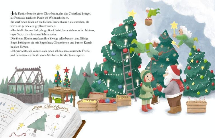 Produktbild: Friedas Weihnachten. Bilderbuch