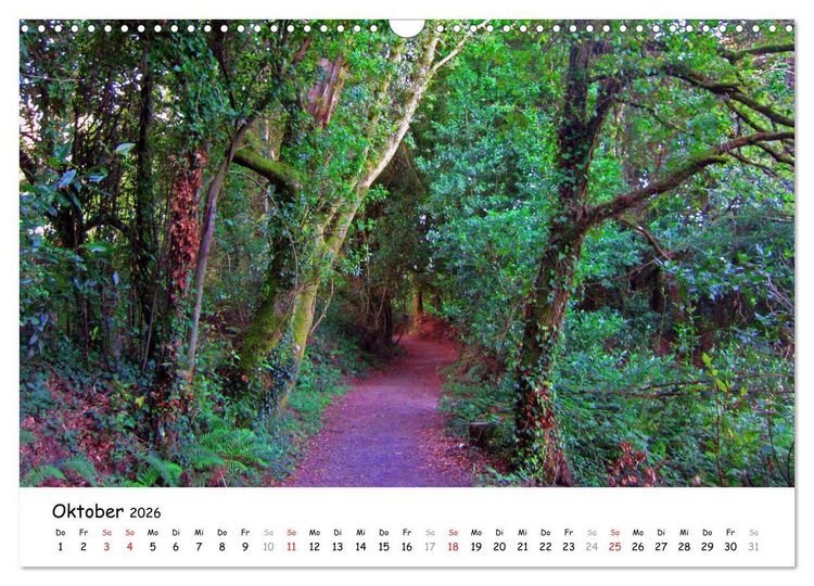 Produktbild: Jakobsweg - Camino Ingles (Wandkalender 2026 DIN A3 quer), CALVENDO Monatskalender