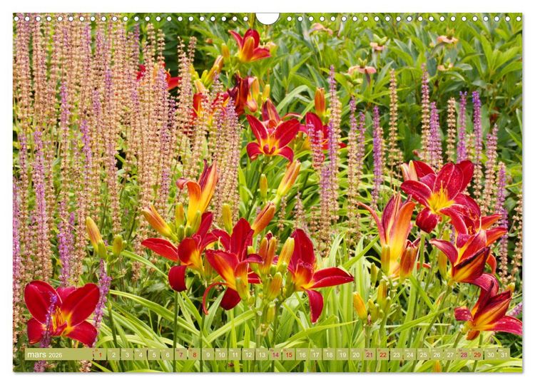 Produktbild: Lys d'un jour (Calendrier mural 2026 DIN A3 vertical), CALVENDO calendrier mensuel