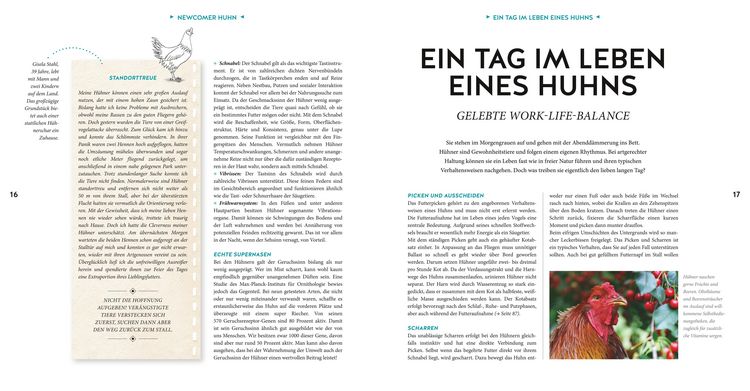Produktbild: H&uuml;hner Basics