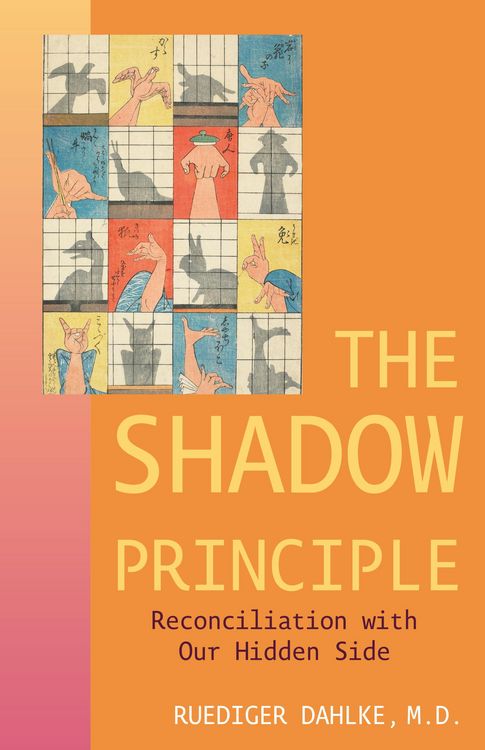 Produktbild: The Shadow Principle