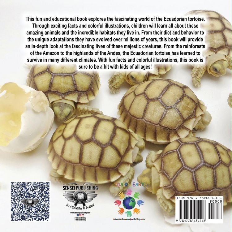 Produktbild: KIDS ON EARTH Wildlife Adventures - Explore The World Tortoise - Ecuador