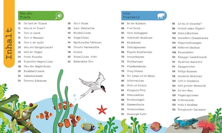 Wissen für Vorschulkids. Was weißt du über Tiere?