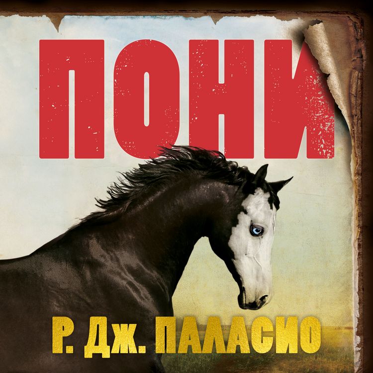 Produktbild: Pony
