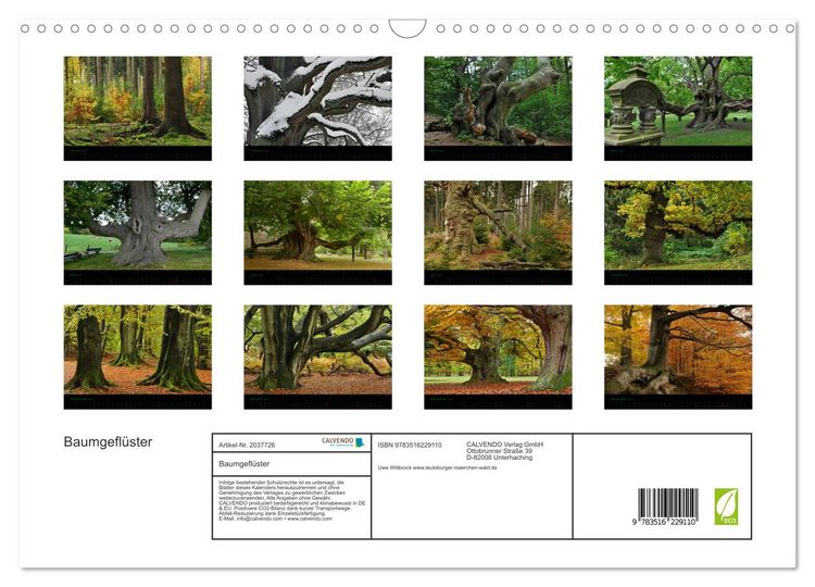 Produktbild: Baumgefl&uuml;ster (Wandkalender 2026 DIN A3 quer), CALVENDO Monatskalender