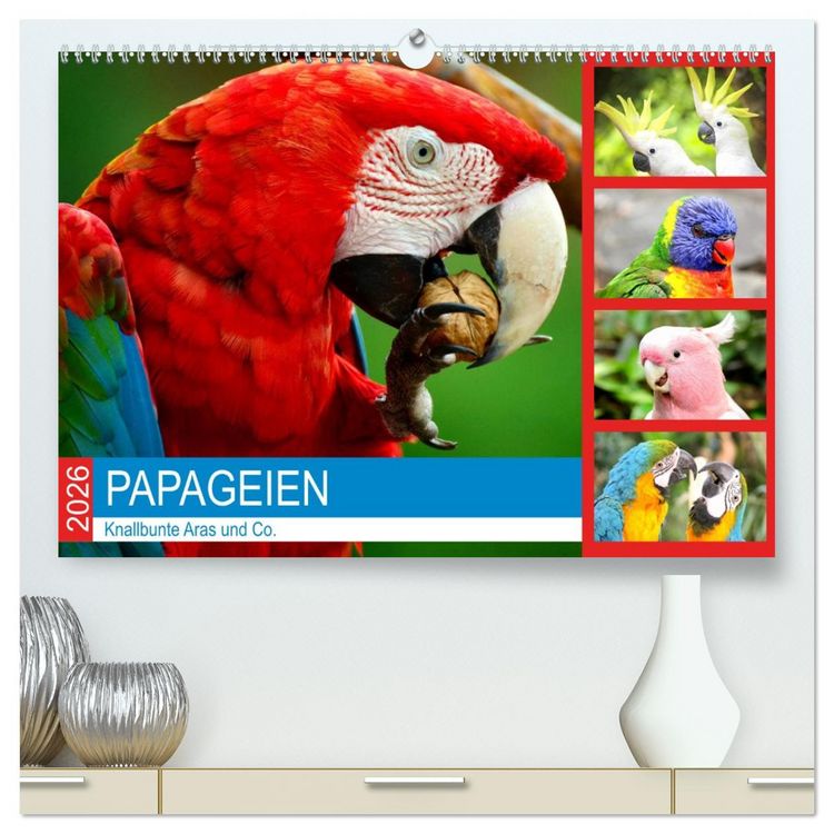 Produktbild: Papageien. Knallbunte Aras und Co. (hochwertiger Premium Wandkalender 2026 DIN A2 quer), Kunstdruck in Hochglanz