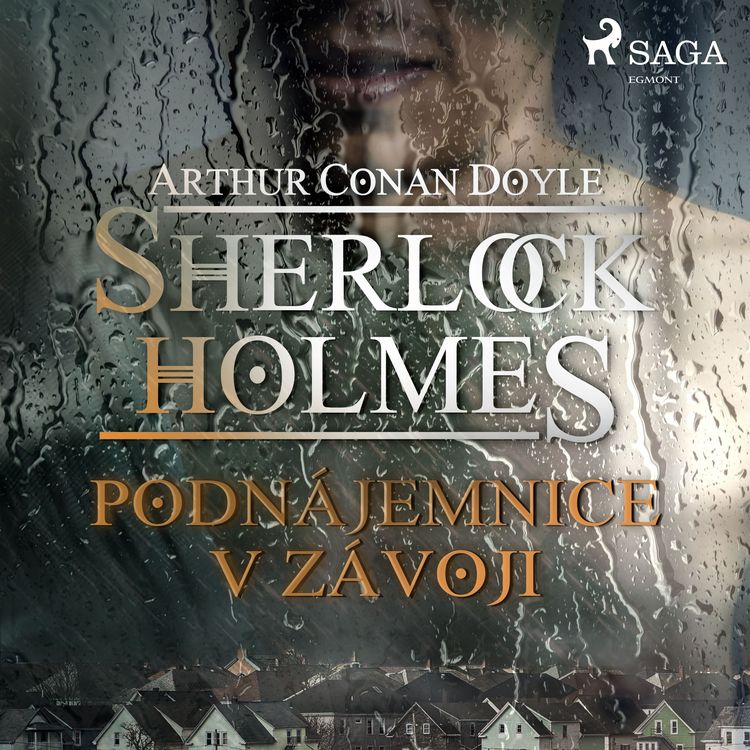 Produktbild: Podn&aacute;jemnice v z&aacute;voji