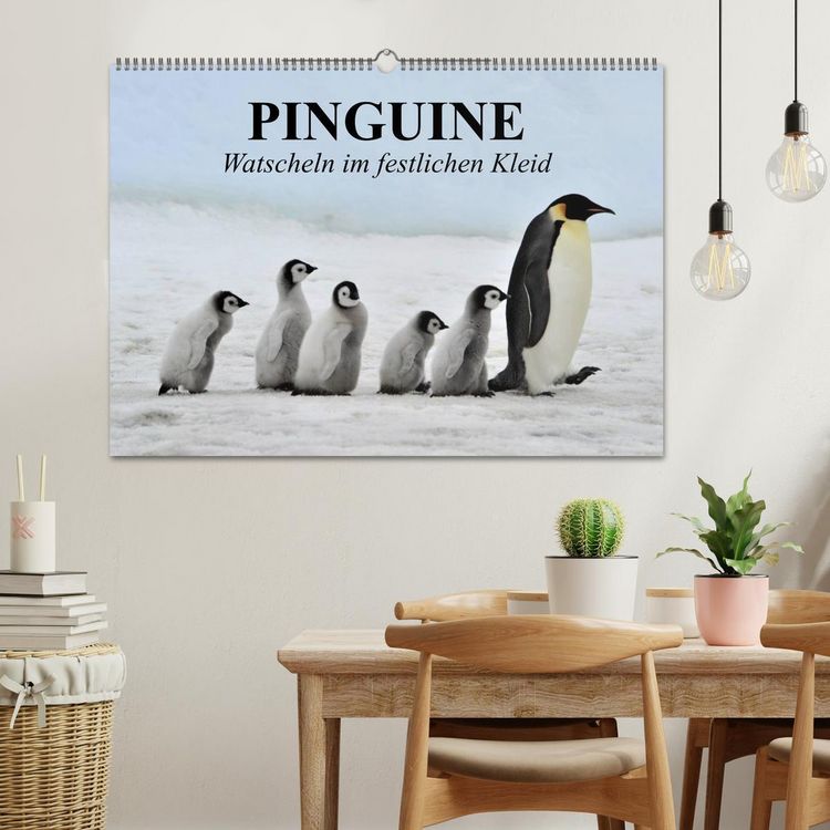 Produktbild: Pinguine - Watscheln im festlichen Kleid (Wandkalender 2026 DIN A2 quer), CALVENDO Monatskalender