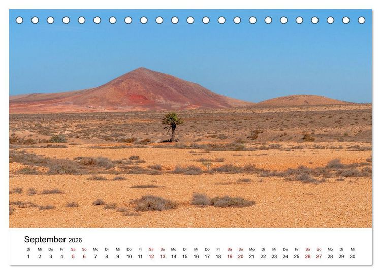 Produktbild: B&auml;ume - Wunder der Natur (Tischkalender 2026 DIN A5 quer), CALVENDO Monatskalender