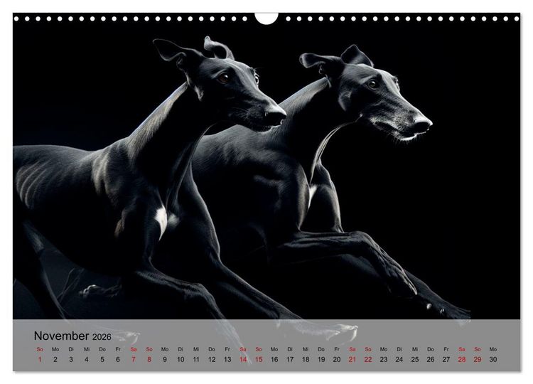 Produktbild: Black is beautiful (Wandkalender 2026 DIN A3 quer), CALVENDO Monatskalender