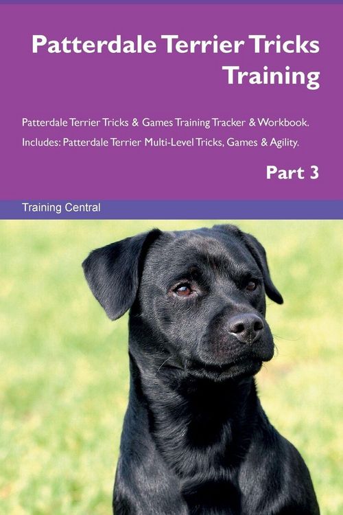 Produktbild: Patterdale Terrier Tricks Training Patterdale Terrier Tricks & Games Training Tracker & Workbook. Includes