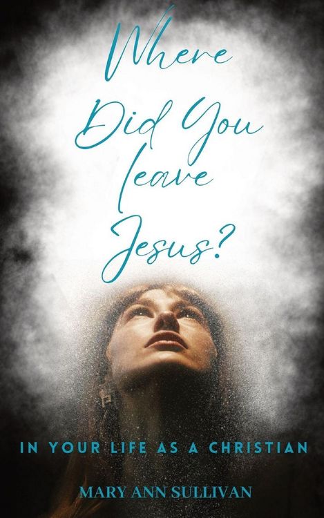 Produktbild: Where Did You Leave Jesus?