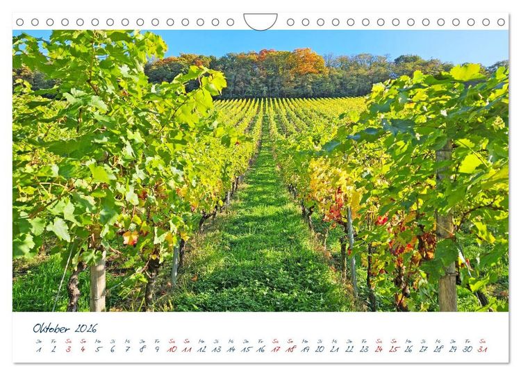 Produktbild: K&ouml;nigswinter-Oberdollendorf &ndash; Traum-Trip durch farbenpr&auml;chtige Weinberge (Wandkalender 2026 DIN A4 quer), CALVENDO Monatskalender