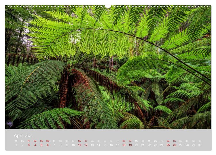 Produktbild: Tasmanien - Juwel am anderen Ende der Welt (Wandkalender 2026 DIN A2 quer), CALVENDO Monatskalender