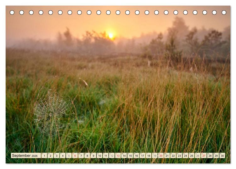 Produktbild: Niedersachsens Natur (Tischkalender 2026 DIN A5 quer), CALVENDO Monatskalender
