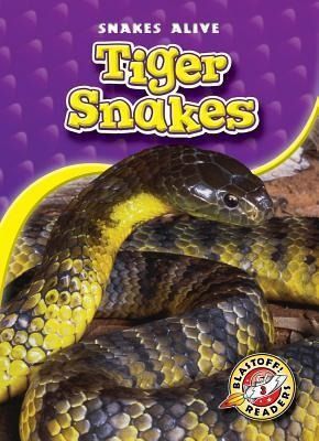 Produktbild: Tiger Snakes