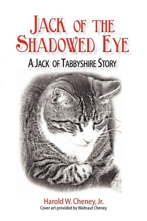 Produktbild: Jack of the Shadowed Eye
