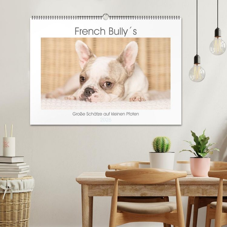 Produktbild: French Bully&acute;s - Gro&szlig;e Sch&auml;tze auf kleinen Pfoten (Wandkalender 2026 DIN A2 quer), CALVENDO Monatskalender