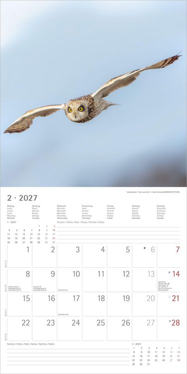 Produktbild: Eulen 2027