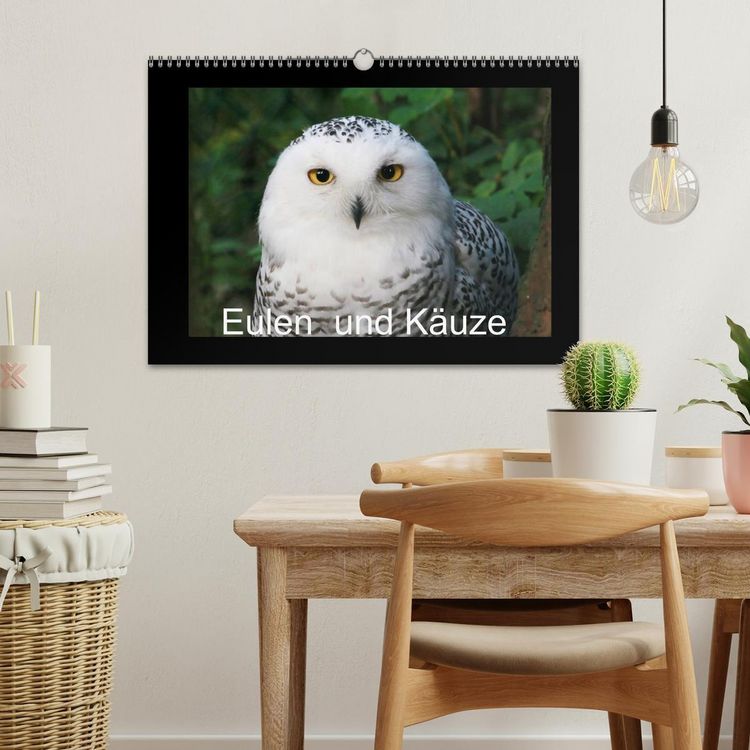 Produktbild: Eulen und K&auml;uze (Wandkalender 2026 DIN A3 quer), CALVENDO Monatskalender