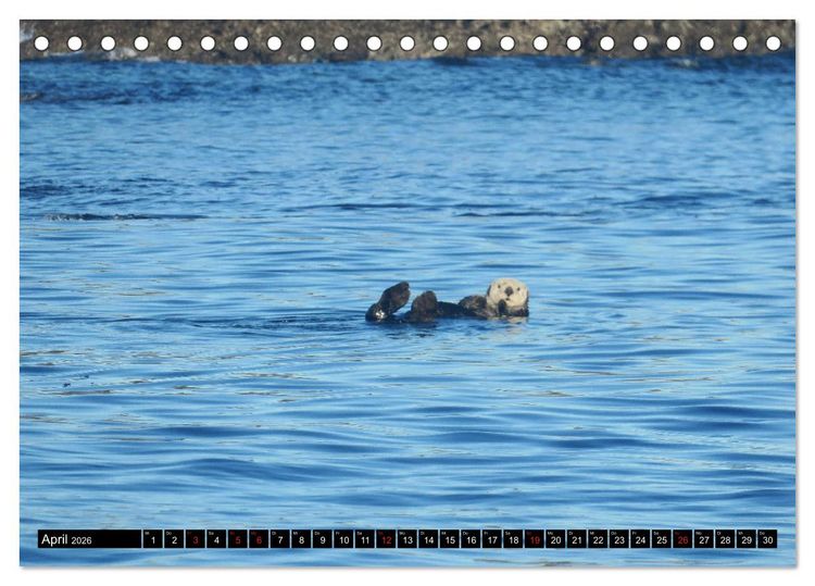 Produktbild: Vancouver - Vancouver Island - Seattle (Tischkalender 2026 DIN A5 quer), CALVENDO Monatskalender