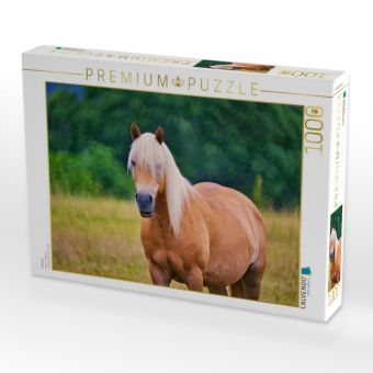 Produktbild: CALVENDO Puzzle Haflinger | 1000 Teile Lege-Gr&ouml;&szlig;e 64x48cm Foto-Puzzle f&uuml;r gl&uuml;ckliche Stunden