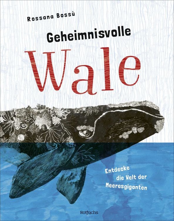 Produktbild: Geheimnisvolle Wale &ndash; Entdecke die Welt der Meeresgiganten