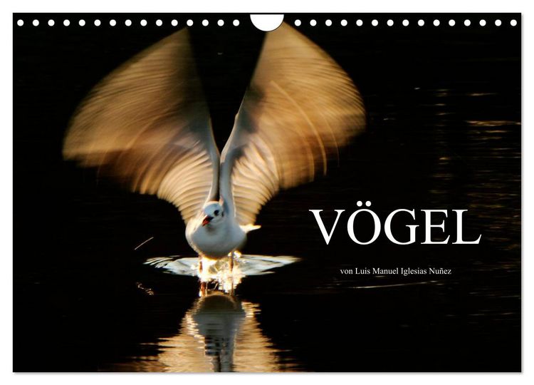 Produktbild: V&Ouml;GEL (Wandkalender 2026 DIN A4 quer), CALVENDO Monatskalender