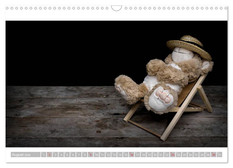 Produktbild: Eddy, der Teddy - 12 Bilder zum Schmunzeln (Wandkalender 2026 DIN A3 quer), CALVENDO Monatskalender
