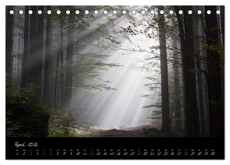 Produktbild: Bayerischer Wald (Tischkalender 2026 DIN A5 quer), CALVENDO Monatskalender